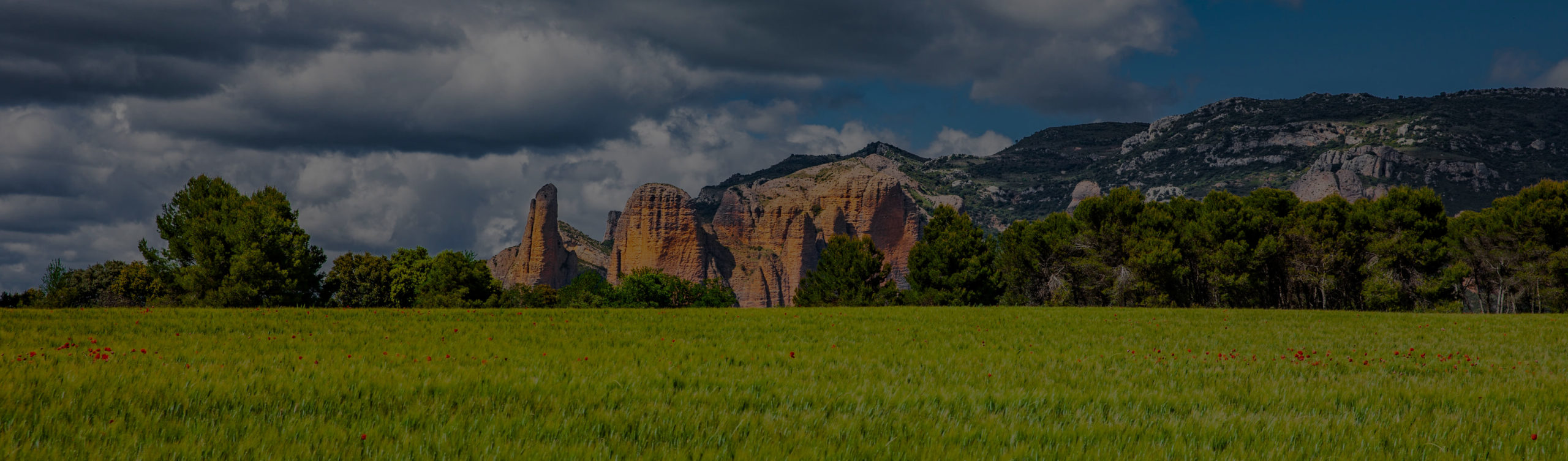 RIGLOS LAS ABUELAS DE SEVIL