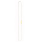 Pur Anneau Petzl 60 anillo cosido montaña escalada y alpinismo