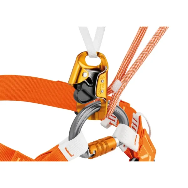 Omni Triact Lock Petzl mosqueton ventral espeleología espeleo petzl