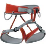 streak w rock empire